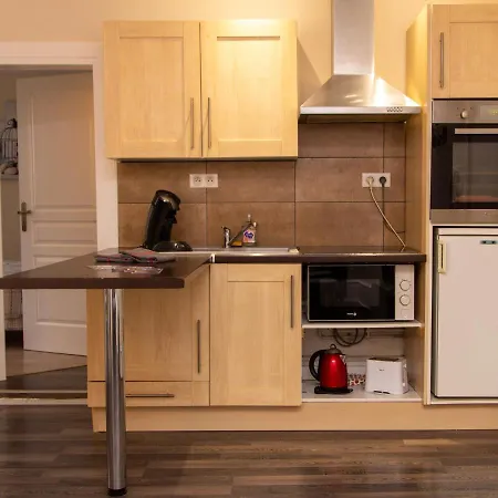 公寓 科尔马中心大使公寓