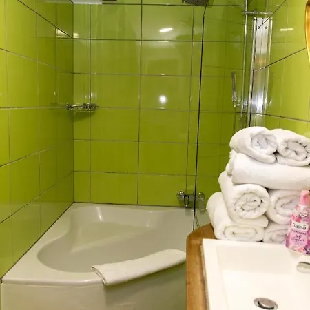 L'ambassadeur - Centre Apartment Colmar