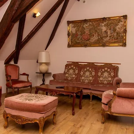 Lägenhet L'ambassadeur - Centre Colmar