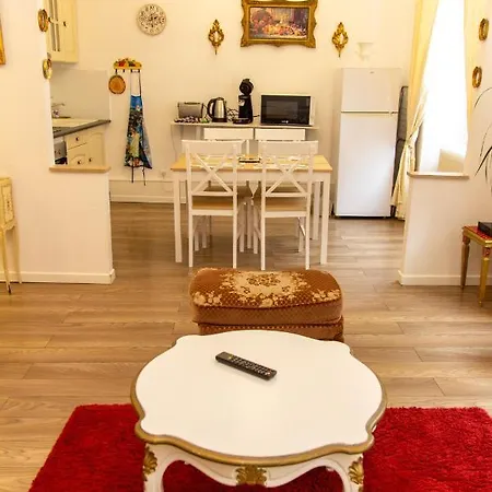L'ambassadeur - Centre Apartment *