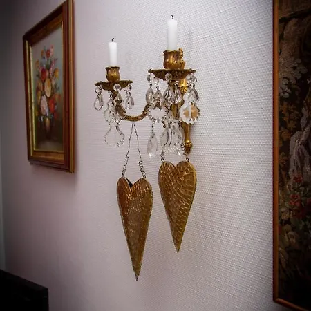 科尔马中心大使公寓 公寓