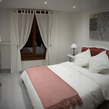 科尔马中心大使公寓 * 科尔马