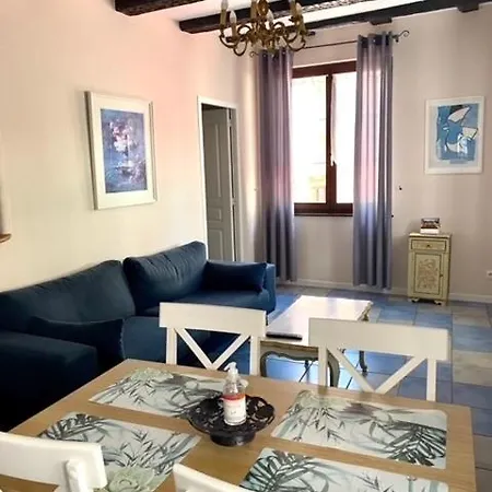 科尔马中心大使公寓 科尔马