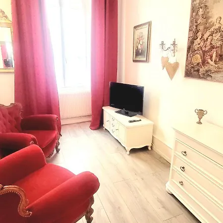 Apartment L'ambassadeur - Centre