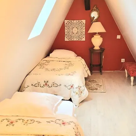 科尔马中心大使公寓 公寓 *