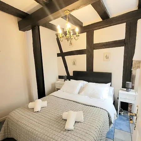 科尔马中心大使公寓 公寓 科尔马