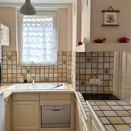 科尔马中心大使公寓