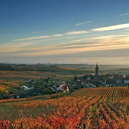 L'ambassadeur - Centre * Colmar
